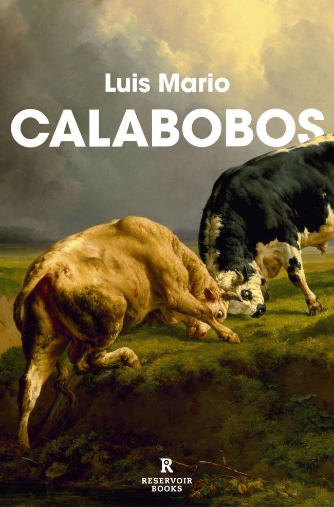 Vorderes Coverbild Calabobos / Drizzle