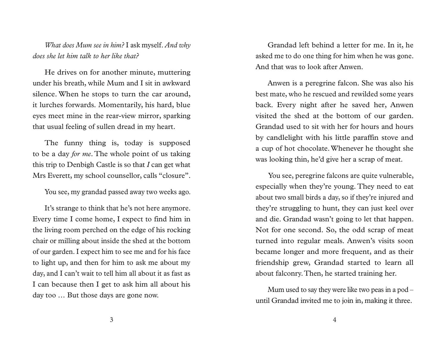 Beispielinhalt (Bild) Saving Anwen