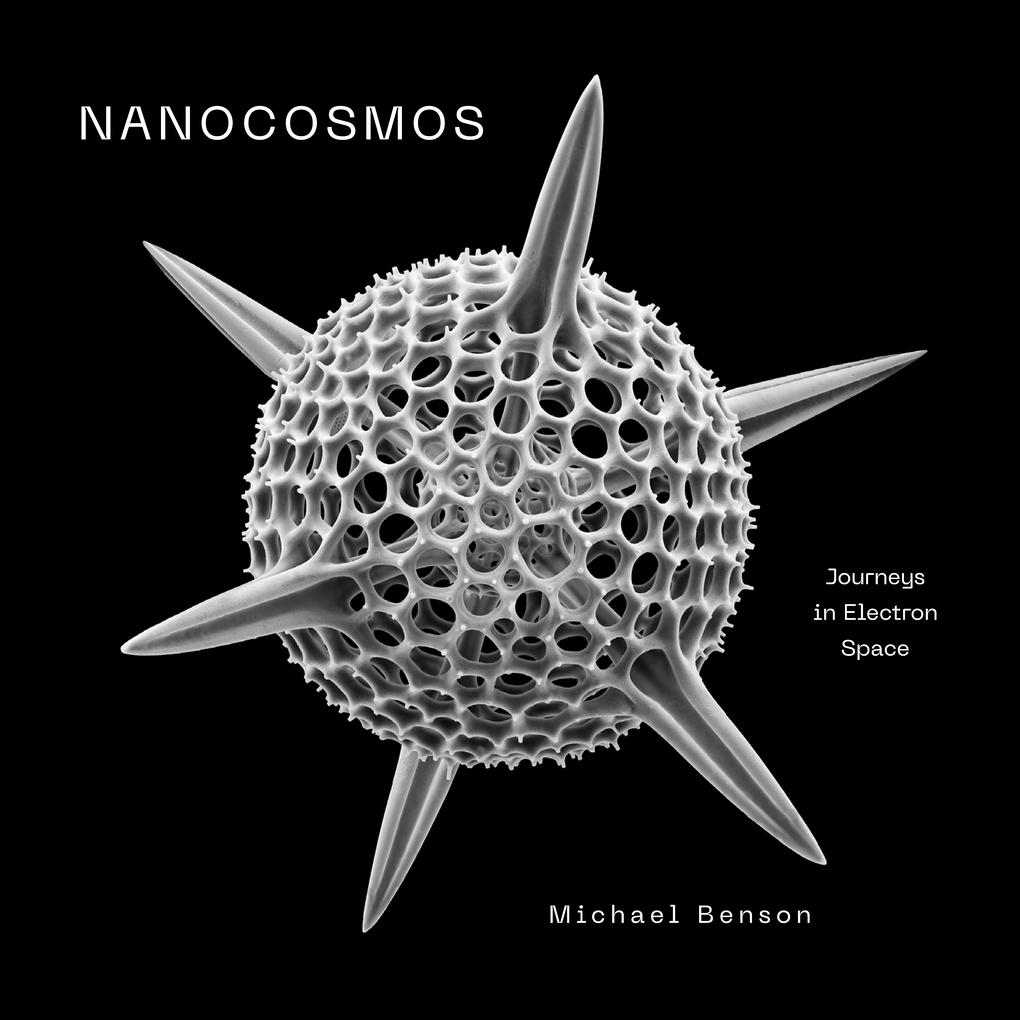 Vorderes Coverbild Nanocosmos
