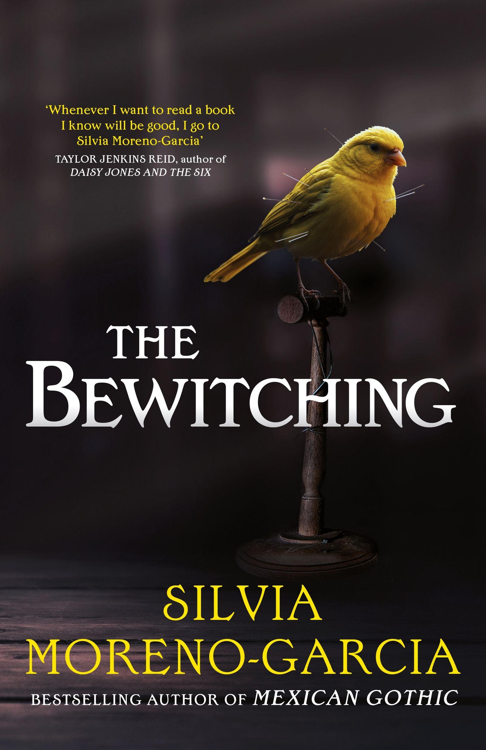 Vorderes Coverbild The Bewitching