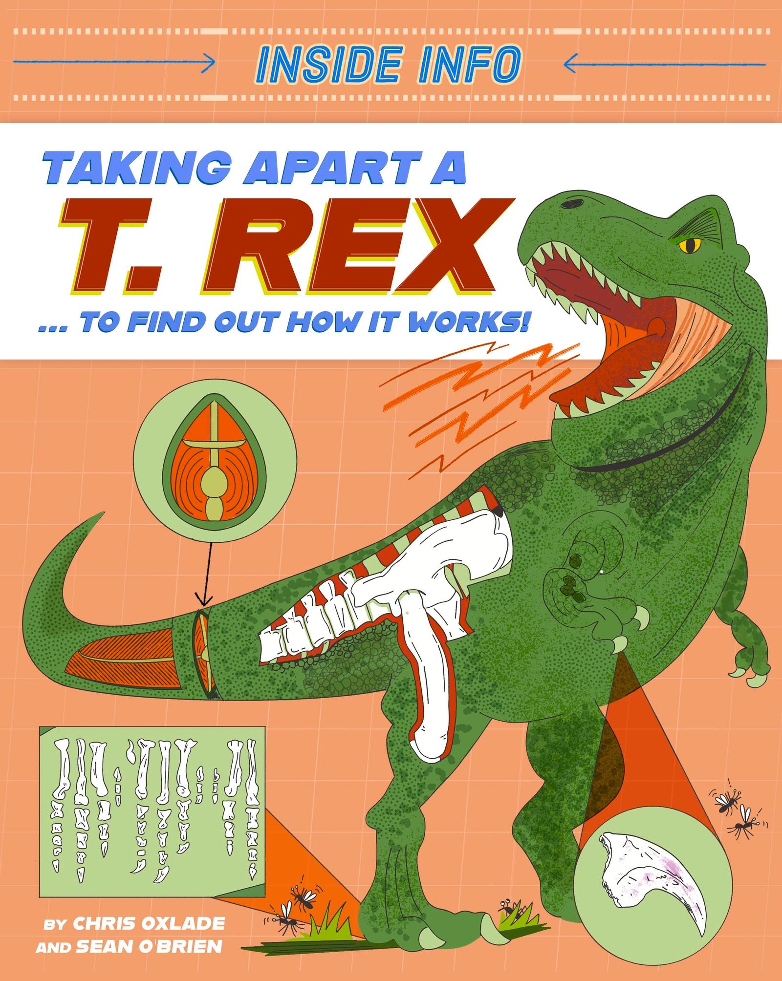 Vorderes Coverbild Inside Info: Taking Apart a T. rex