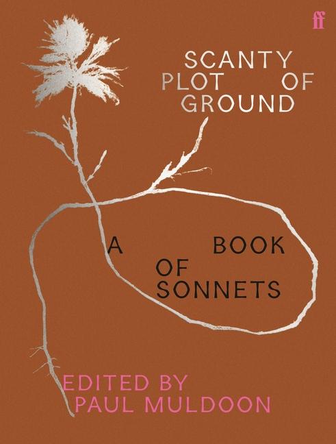 Vorderes Coverbild Scanty Plot of Ground
