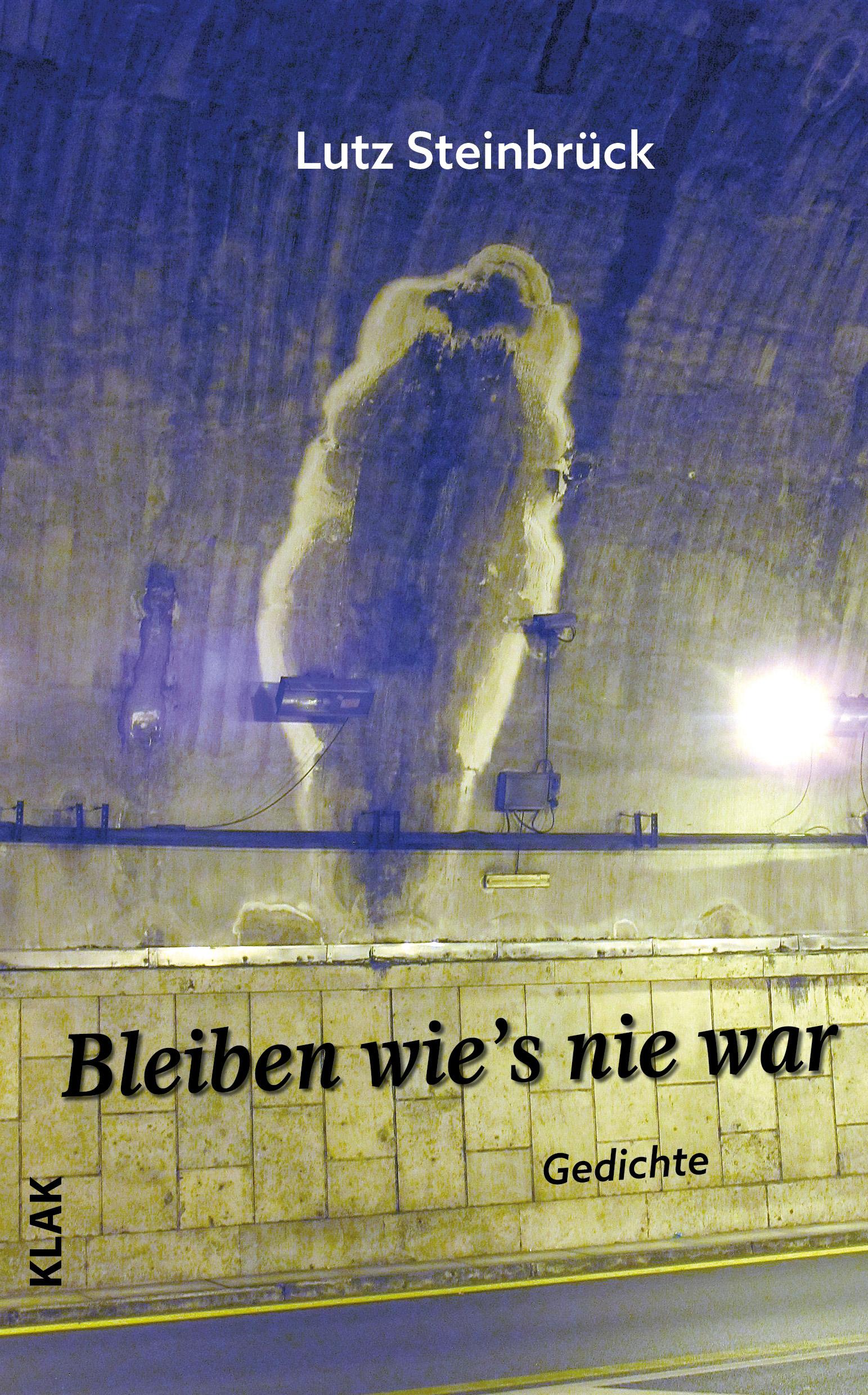 Vorderes Coverbild Bleiben wie's nie war
