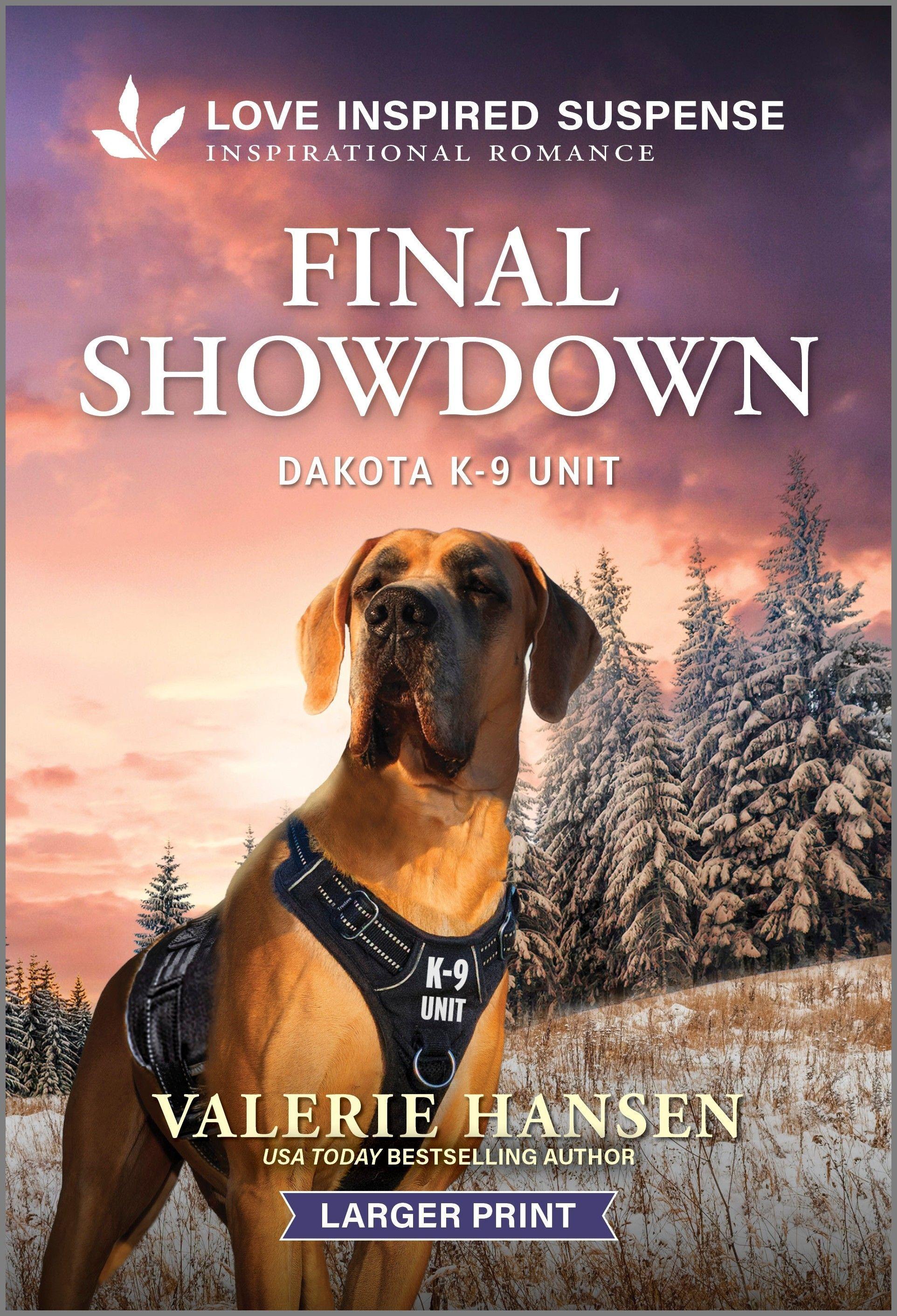 Vorderes Coverbild Final Showdown