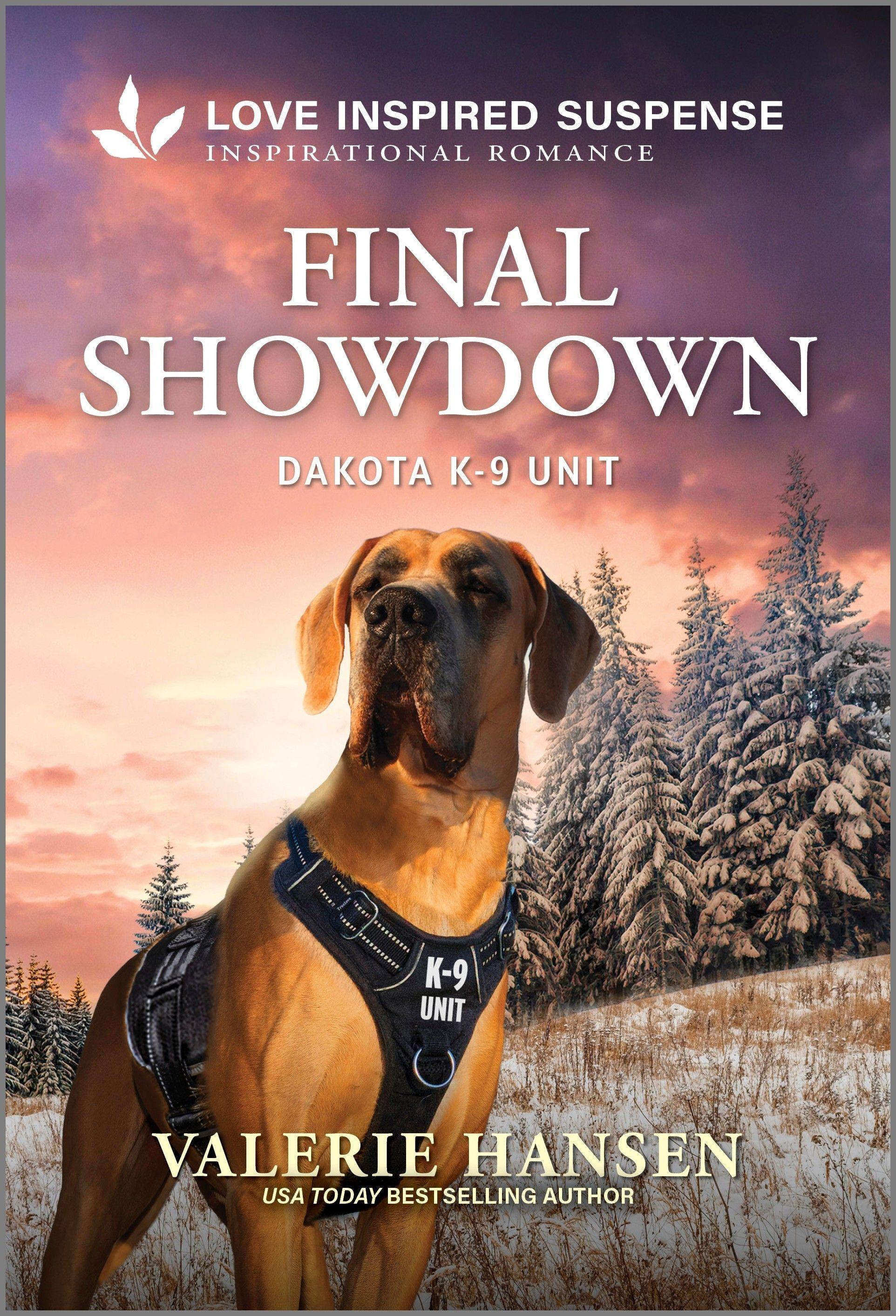 Vorderes Coverbild Final Showdown