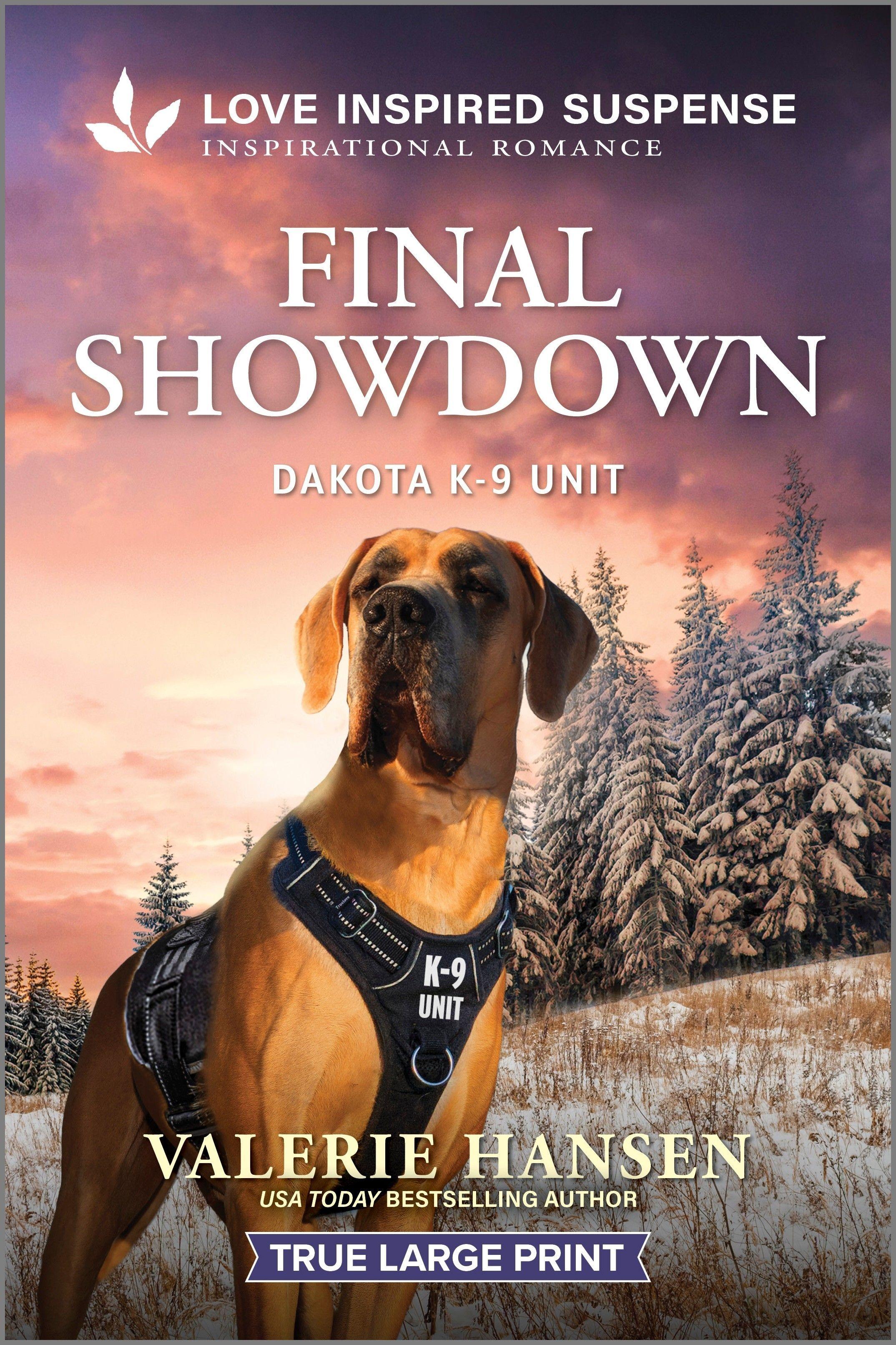 Vorderes Coverbild Final Showdown