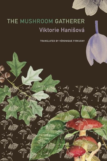 Vorderes Coverbild The Mushroom Gatherer