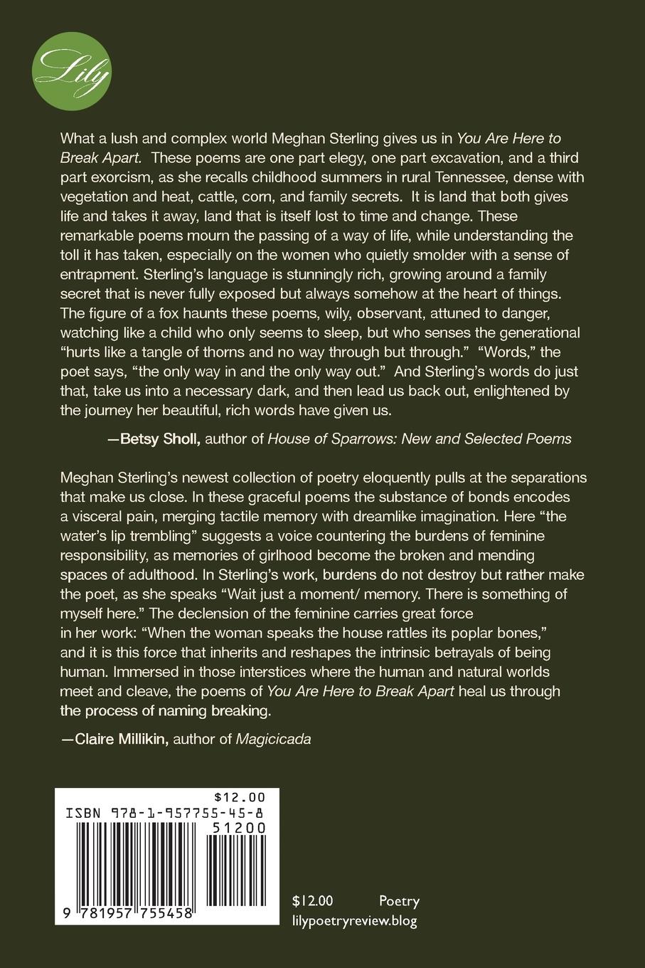 Rückseitencover You Are Here to Break Apart