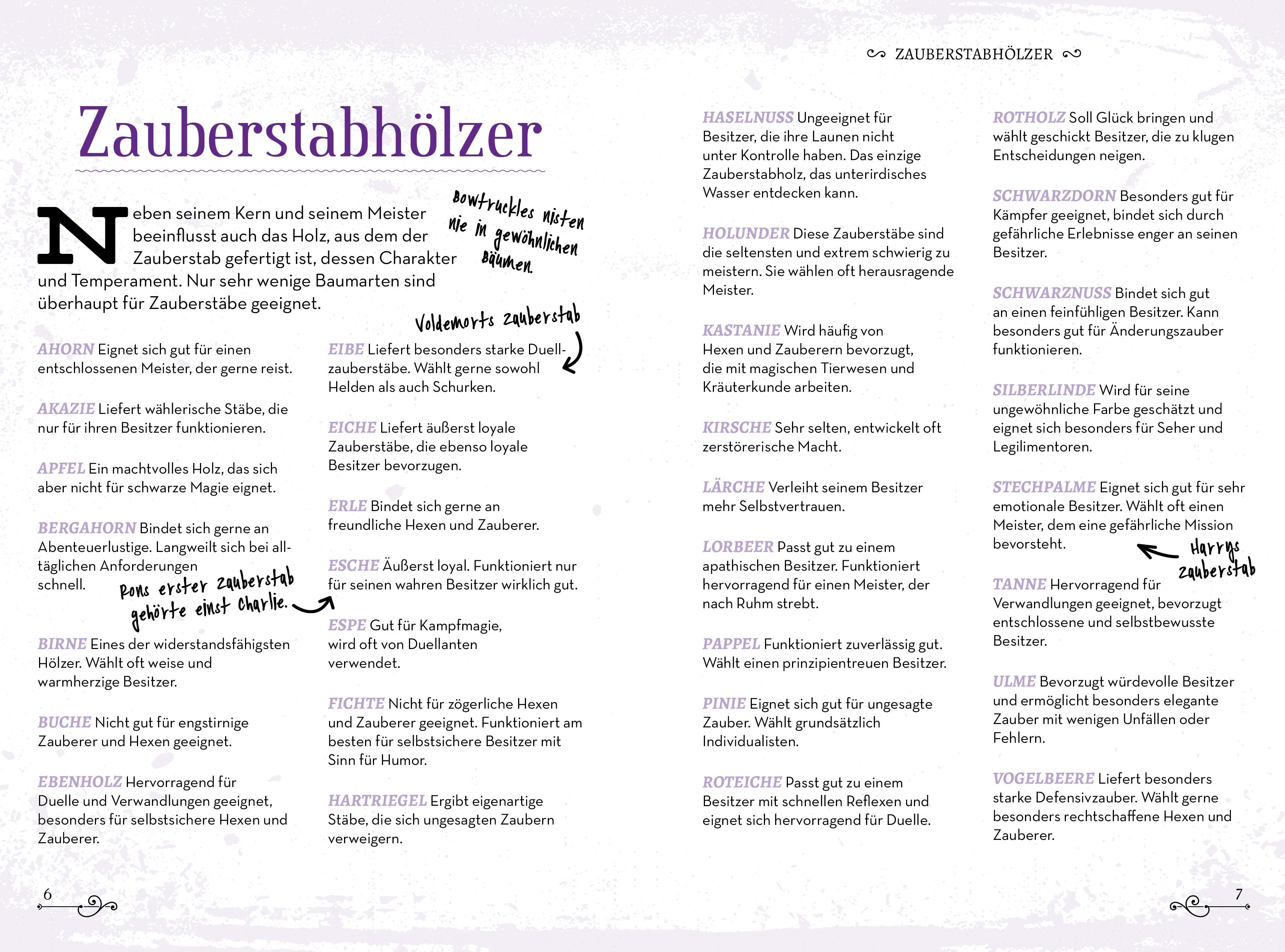 Beispielinhalt (Bild) Das große Buch der Zaubersprüche und magischen Gegenstände für Potter-Fans