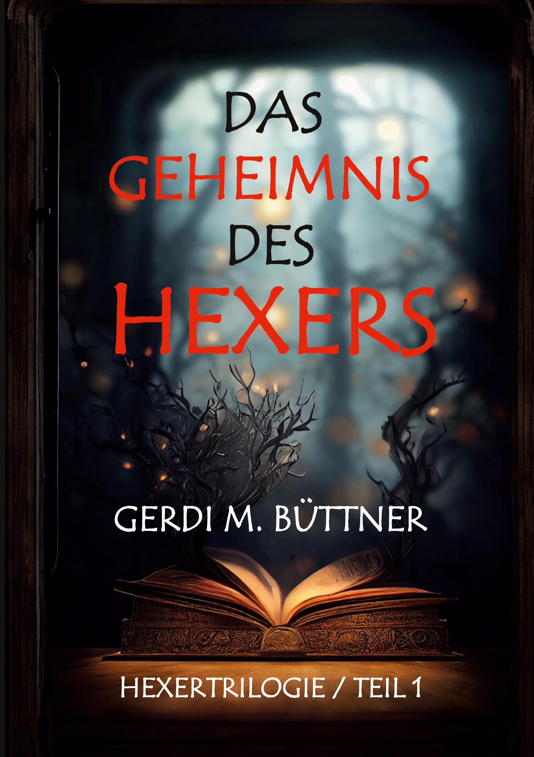 Vorderes Coverbild Das Geheimnis des Hexers