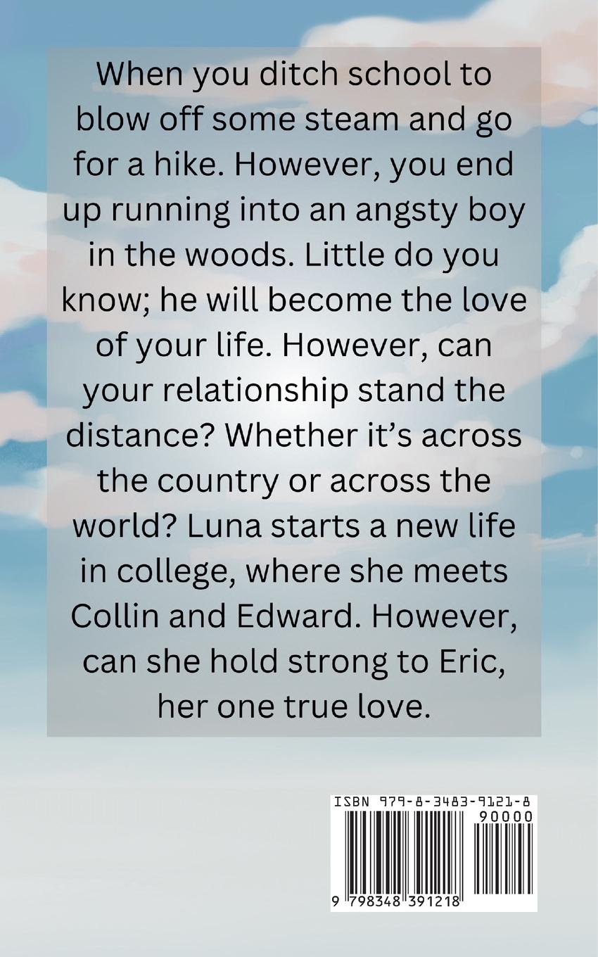 Rückseitencover The Artist's Adventure