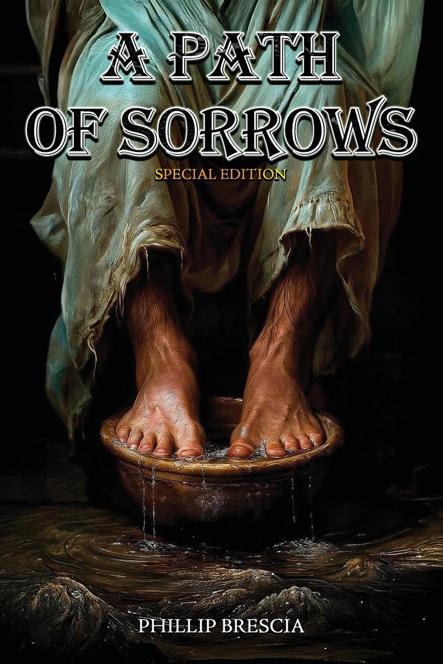 Vorderes Coverbild A Path of Sorrows