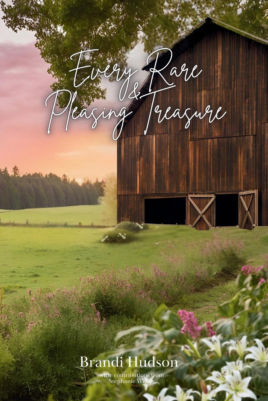 Vorderes Coverbild Every Rare & Pleasing Treasure