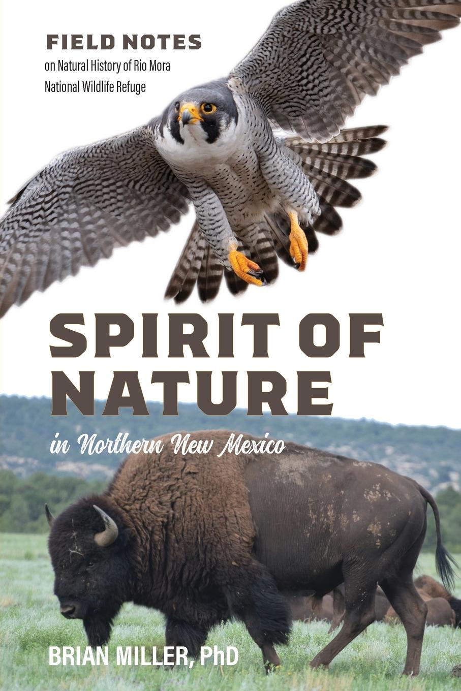 Vorderes Coverbild Spirit of Nature in Northern New Mexico