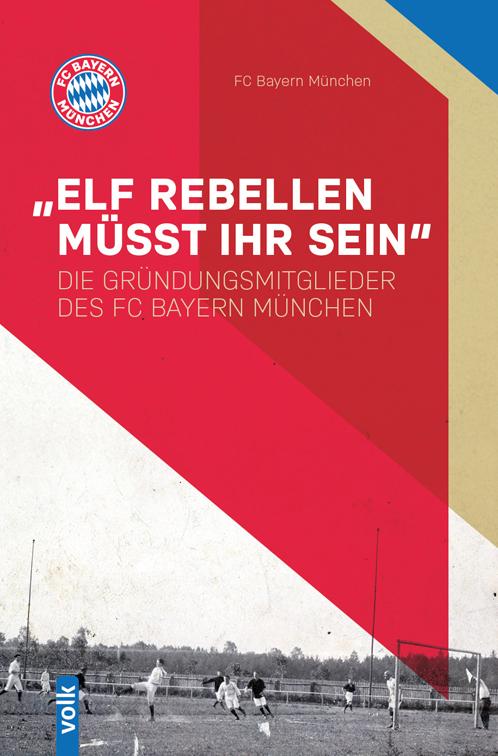 Vorderes Coverbild "Elf Rebellen müsst ihr sein"