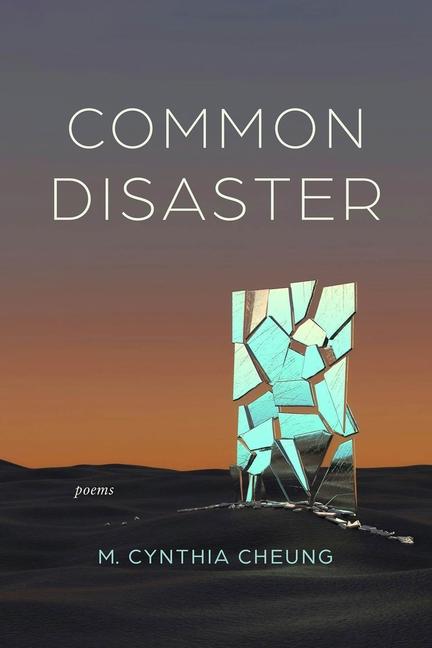 Vorderes Coverbild Common Disaster