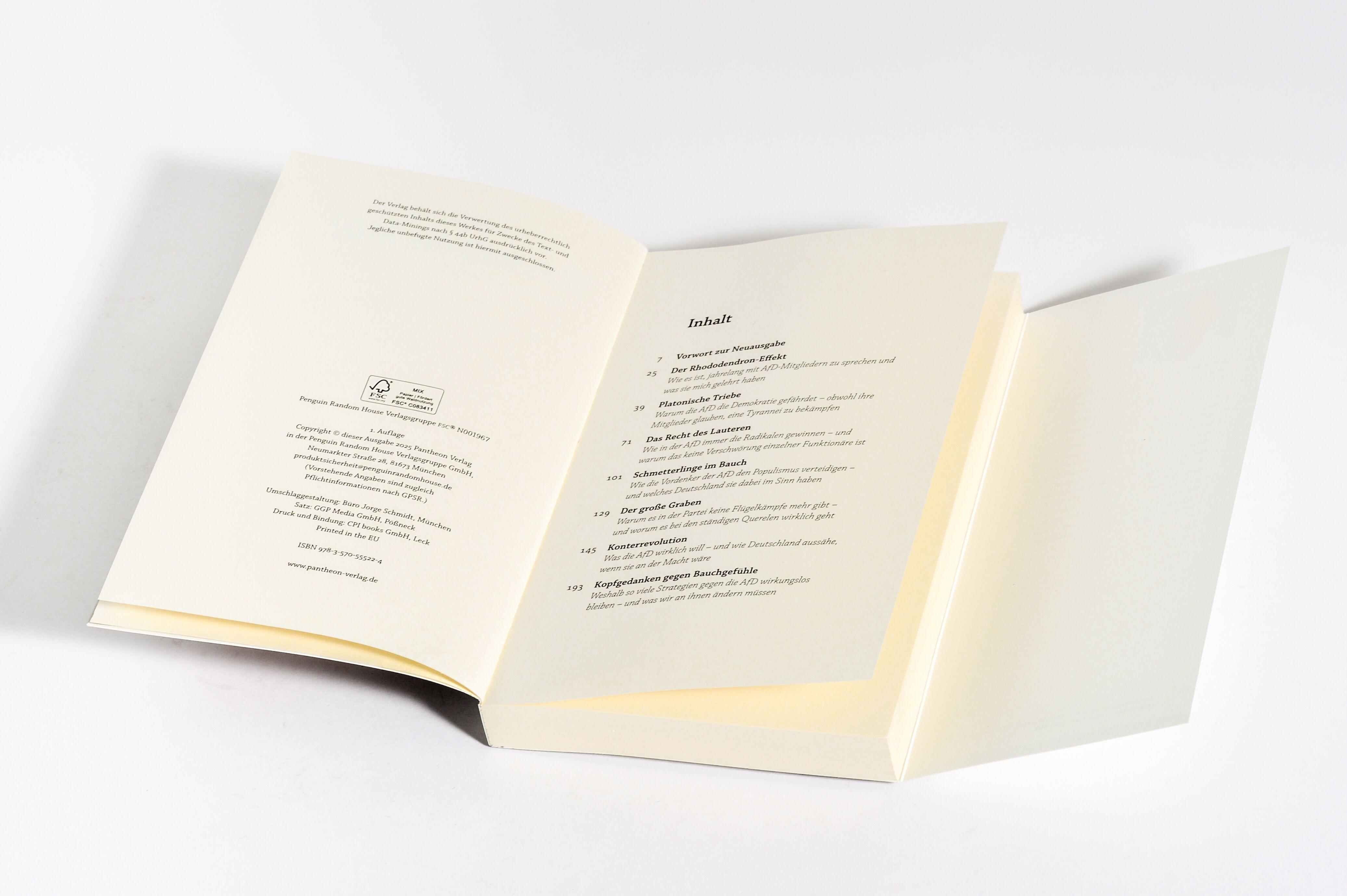 Beispielinhalt (Bild) Was will die AfD?