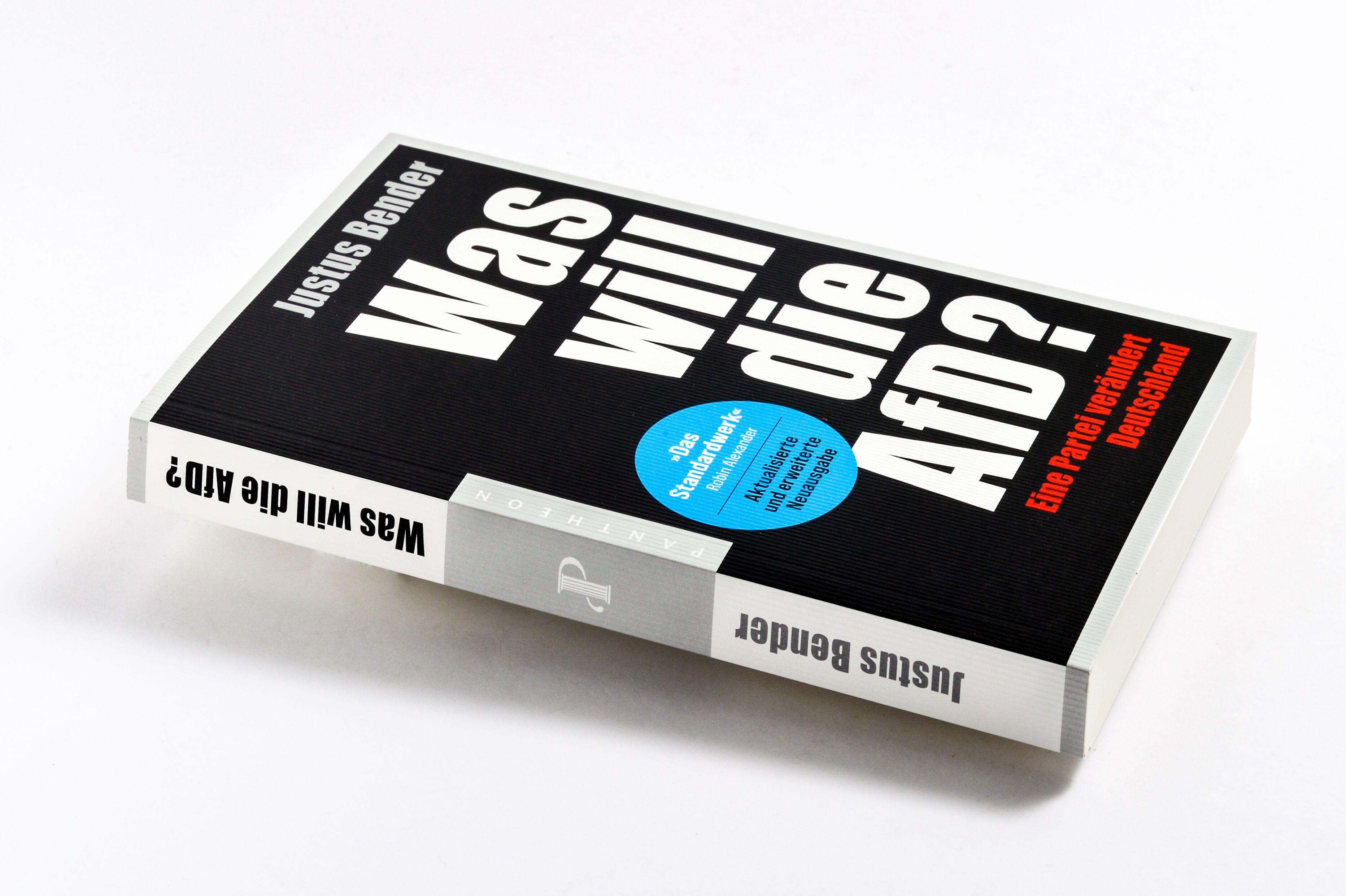 Beispielinhalt (Bild) Was will die AfD?