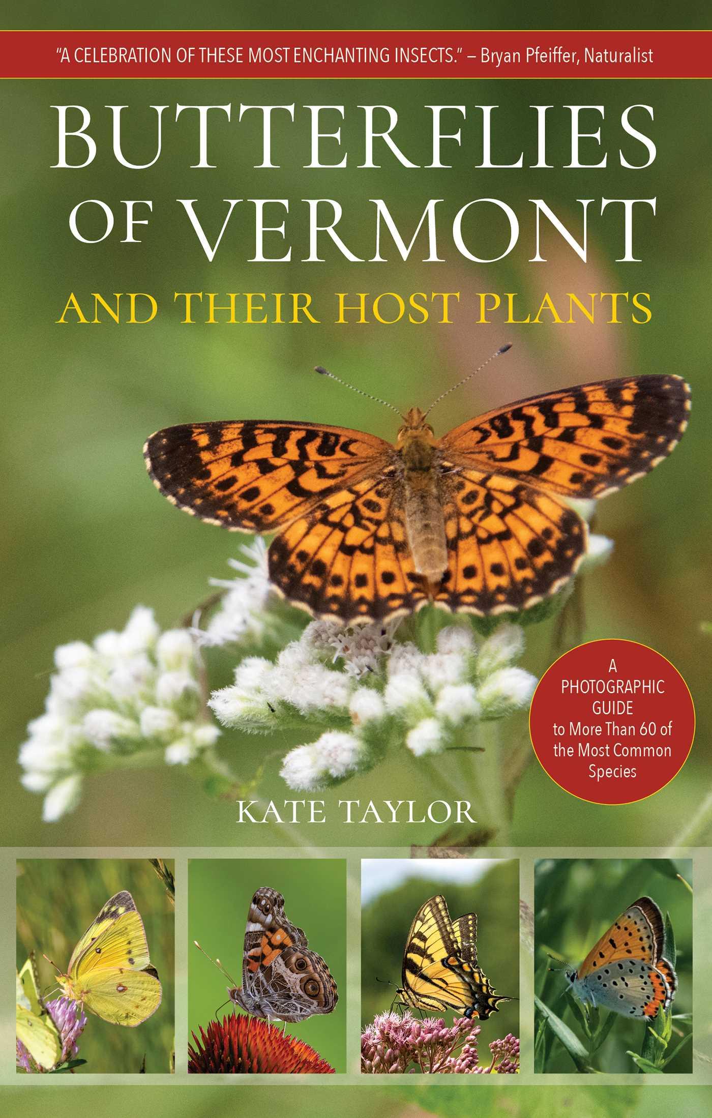 Vorderes Coverbild Butterflies of Vermont