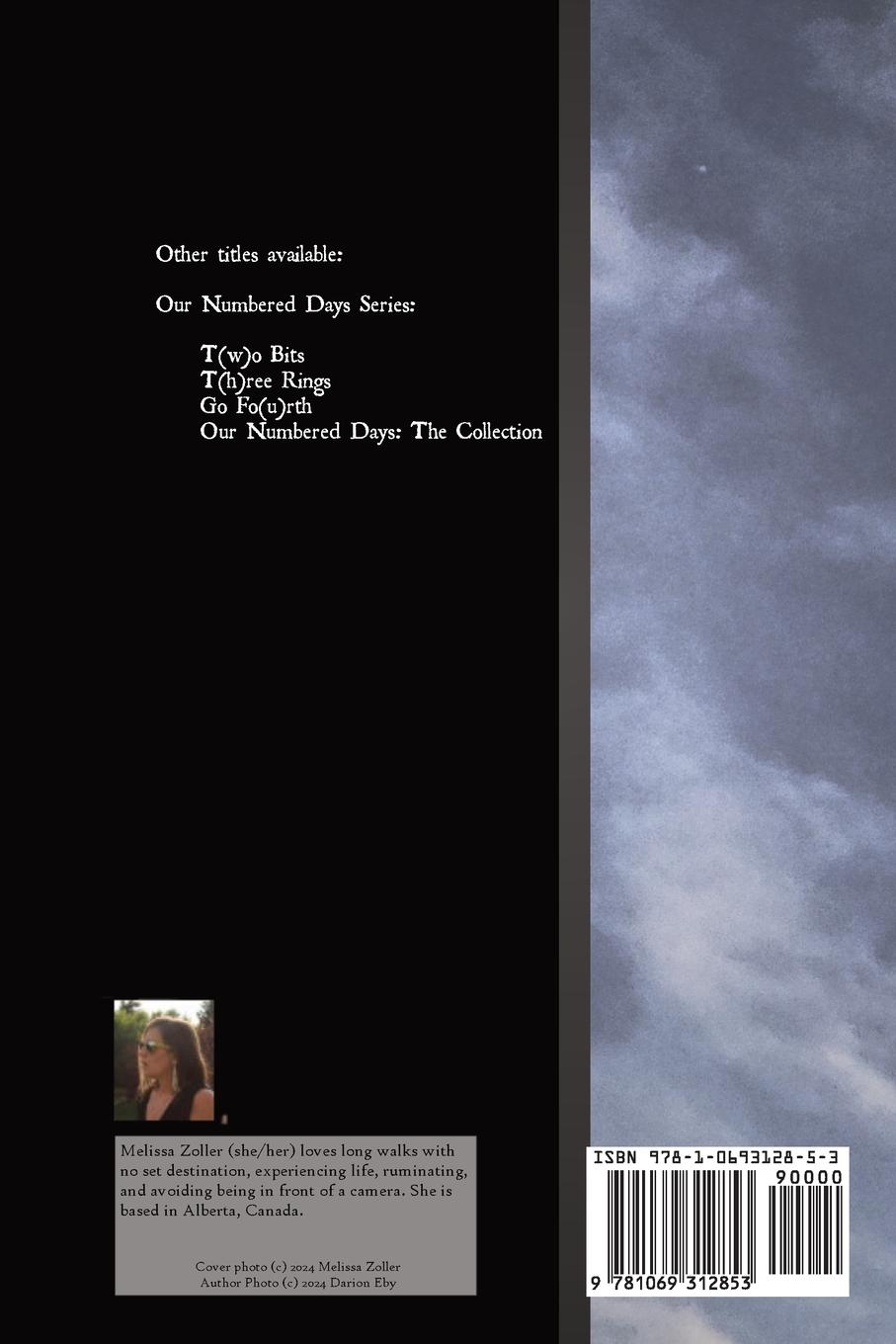 Rückseitencover Moonbeams and Melancholy