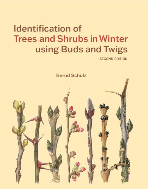 Vorderes Coverbild Identification of Trees & Shrubs in Winter Using Buds and Twigs, Second Edition