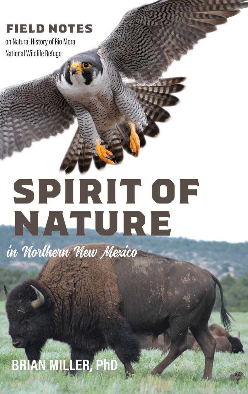 Vorderes Coverbild Spirit of Nature in Northern New Mexico
