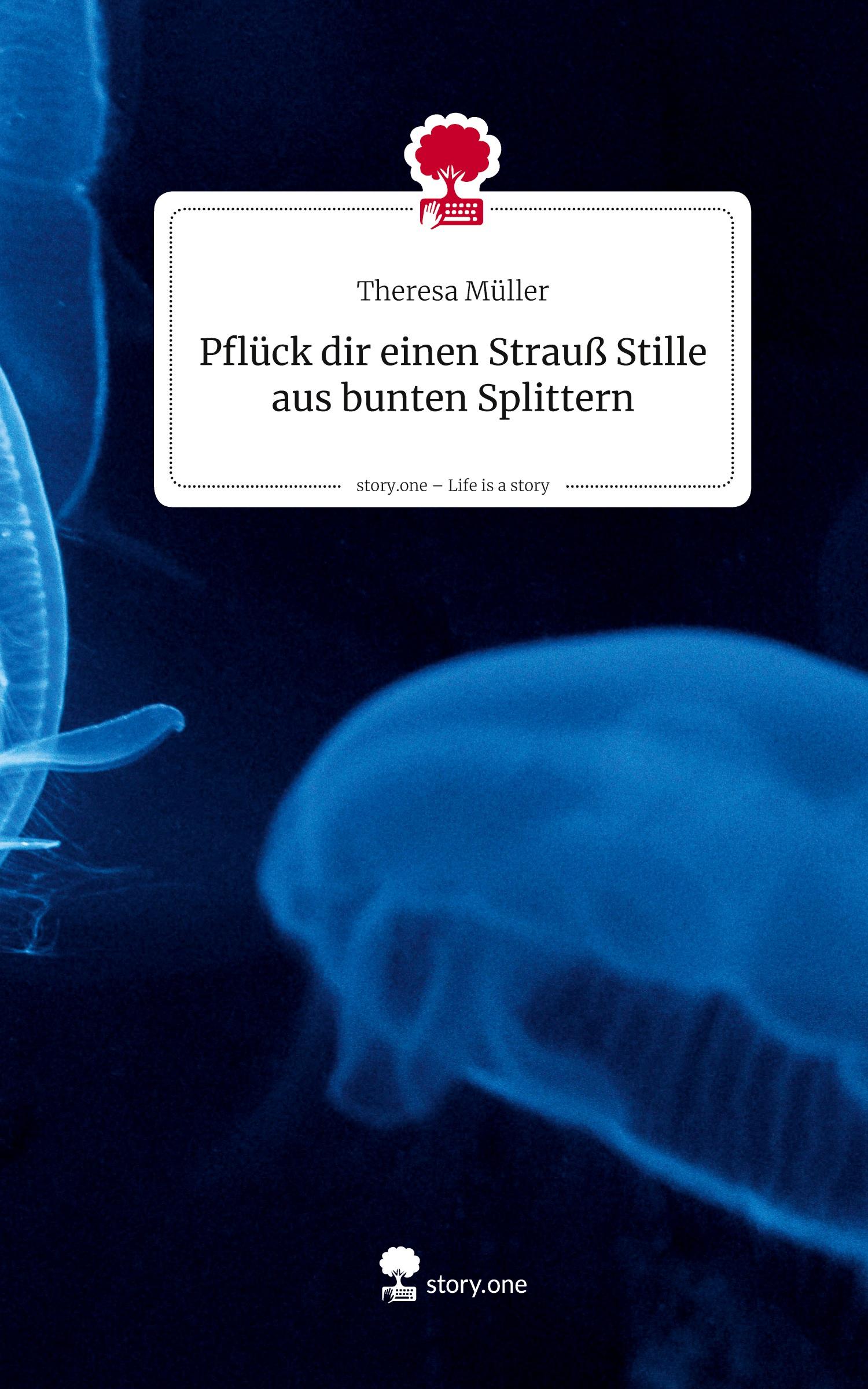 Vorderes Coverbild Pflück dir einen Strauß Stille aus bunten Splittern. Life is a Story - story.one