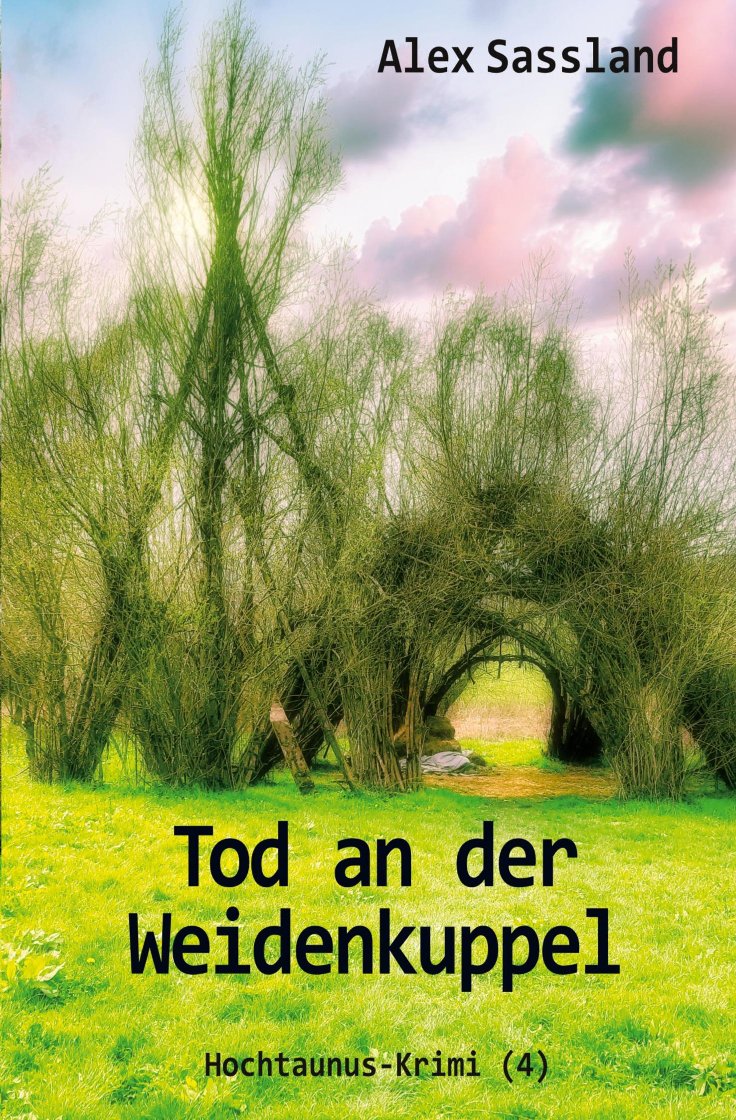 Vorderes Coverbild Tod an der Weidenkuppel