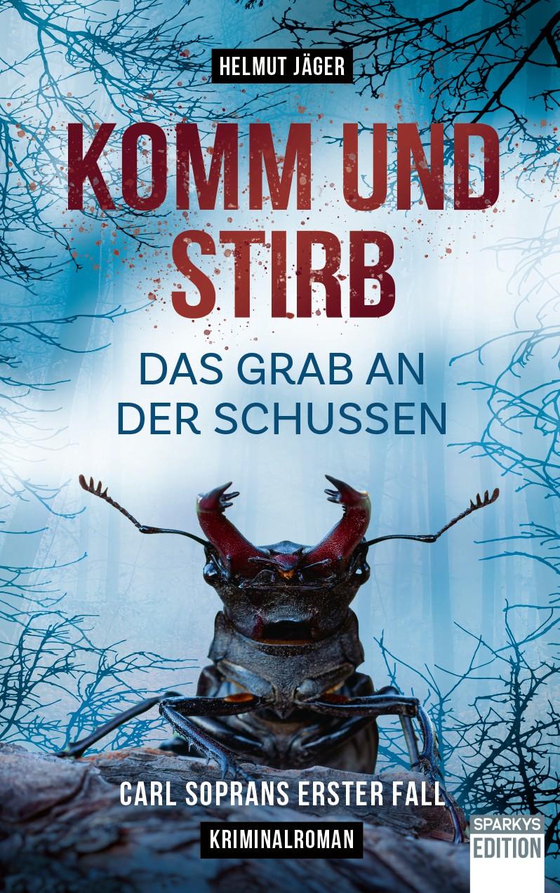 Vorderes Coverbild Komm und stirb - Das Grab an der Schussen