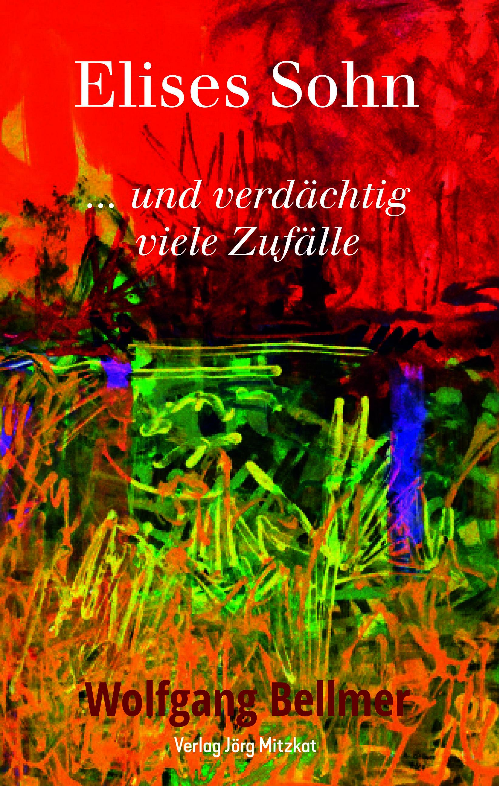 Vorderes Coverbild Elises Sohn