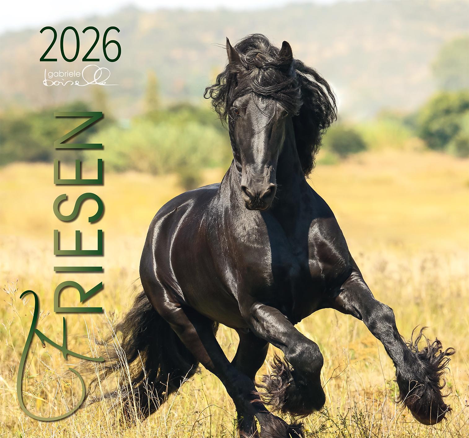 Vorderes Coverbild Friesen 2026