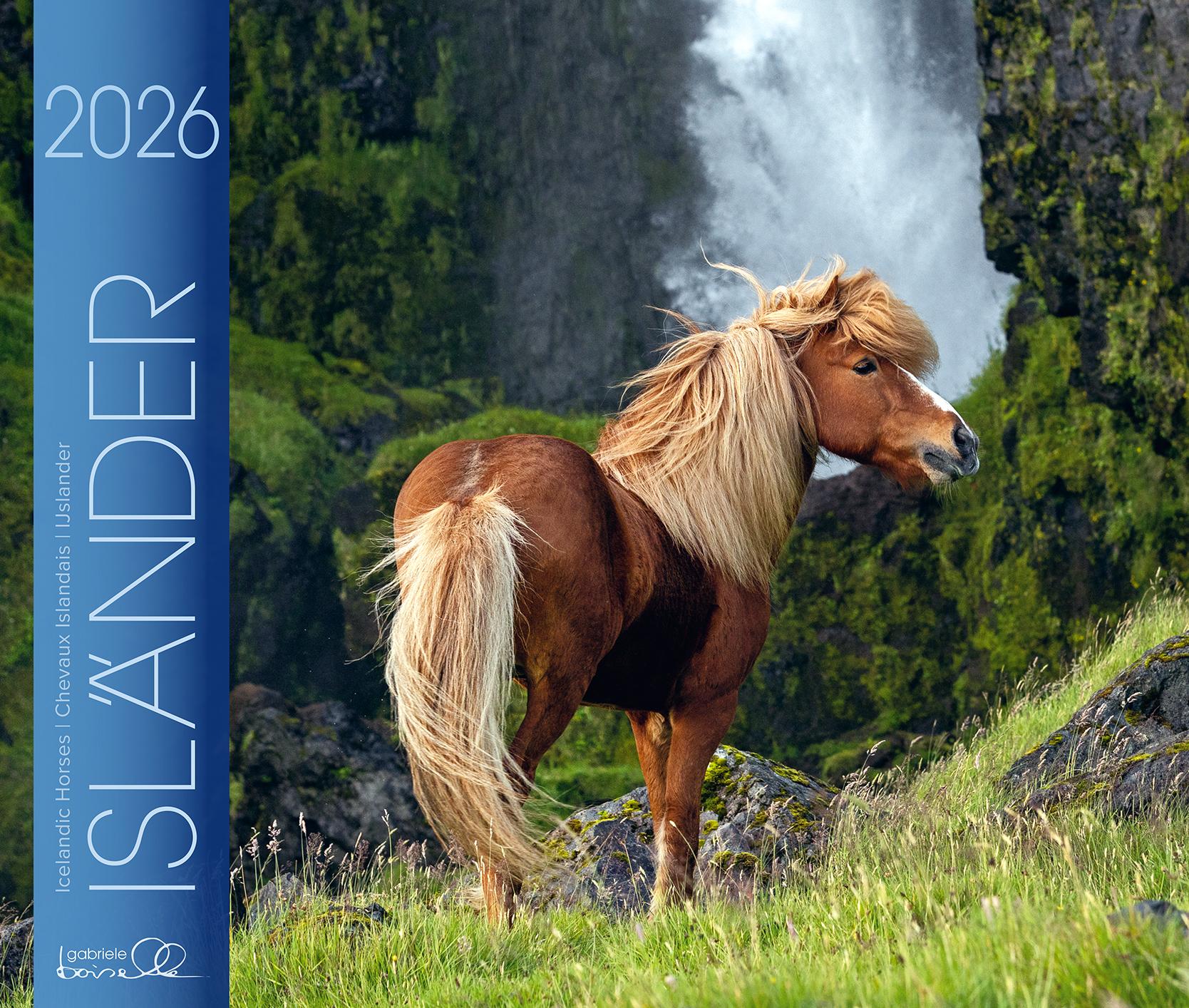 Vorderes Coverbild Isländer 2026
