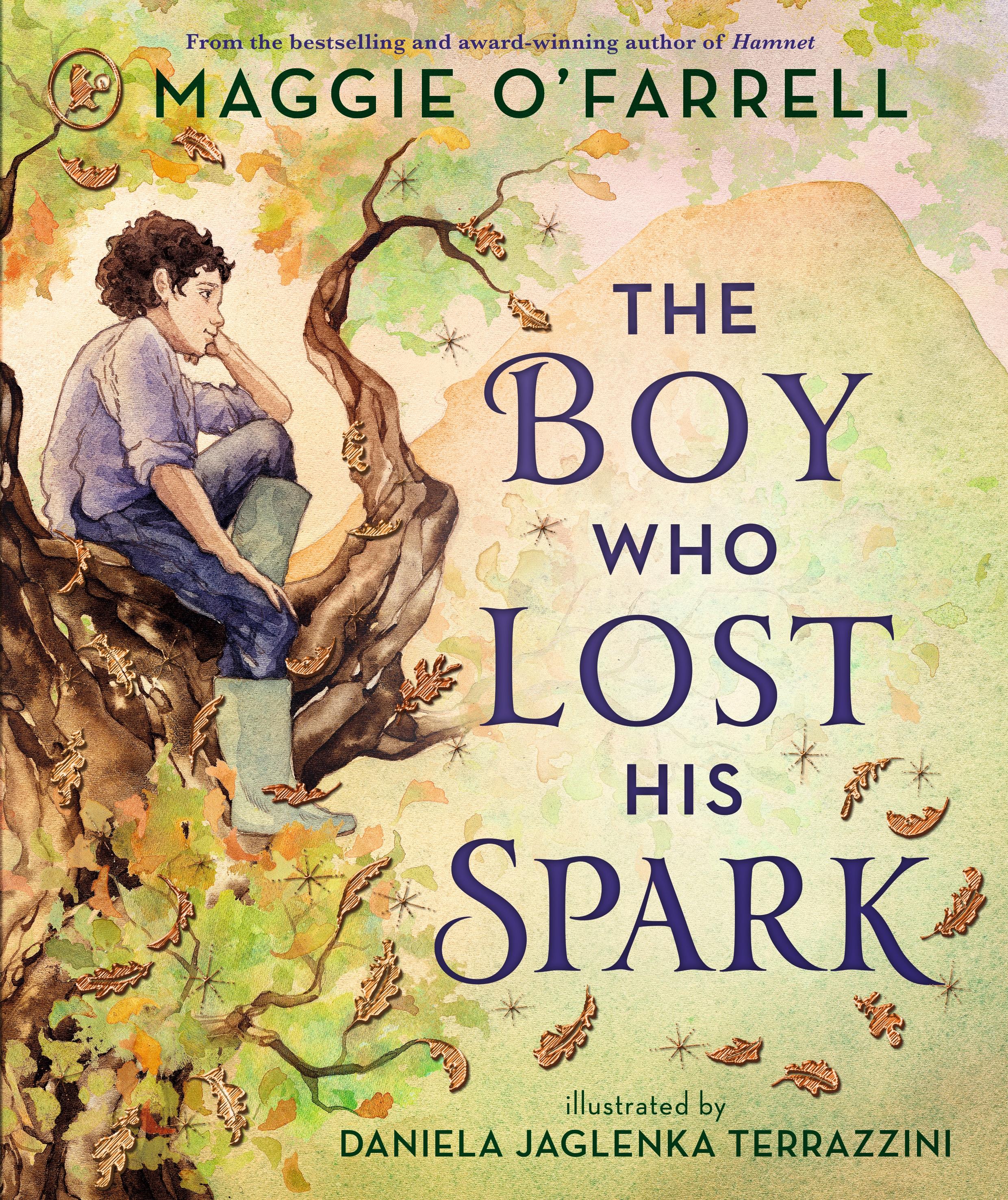 Vorderes Coverbild The Boy Who Lost His Spark