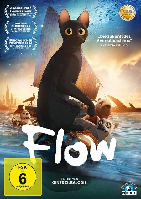 Vorderes Coverbild Flow