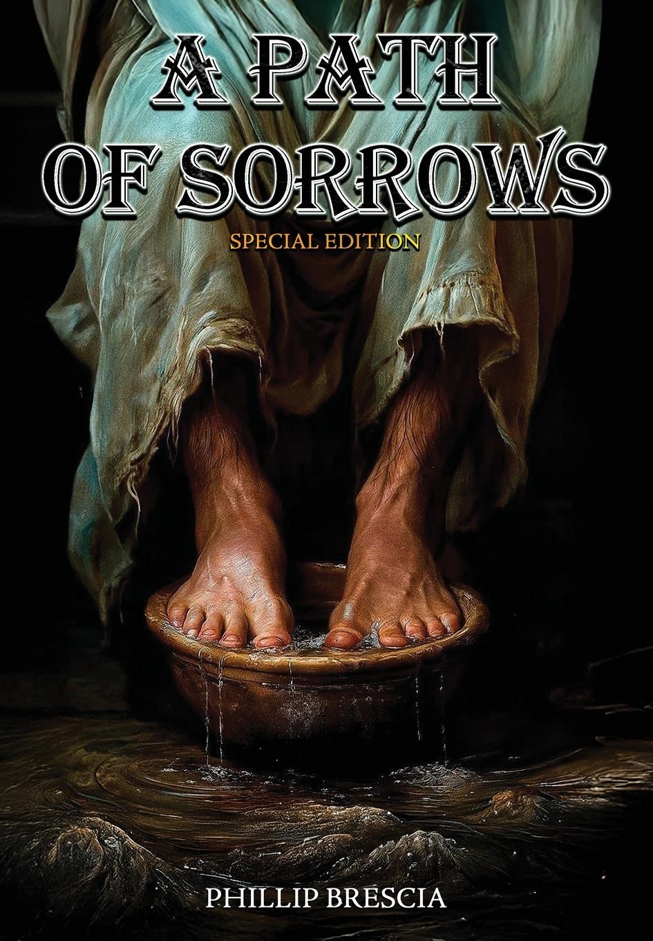 Vorderes Coverbild A Path of Sorrows