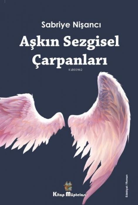 Vorderes Coverbild Askin Sezgisel Carpanlari