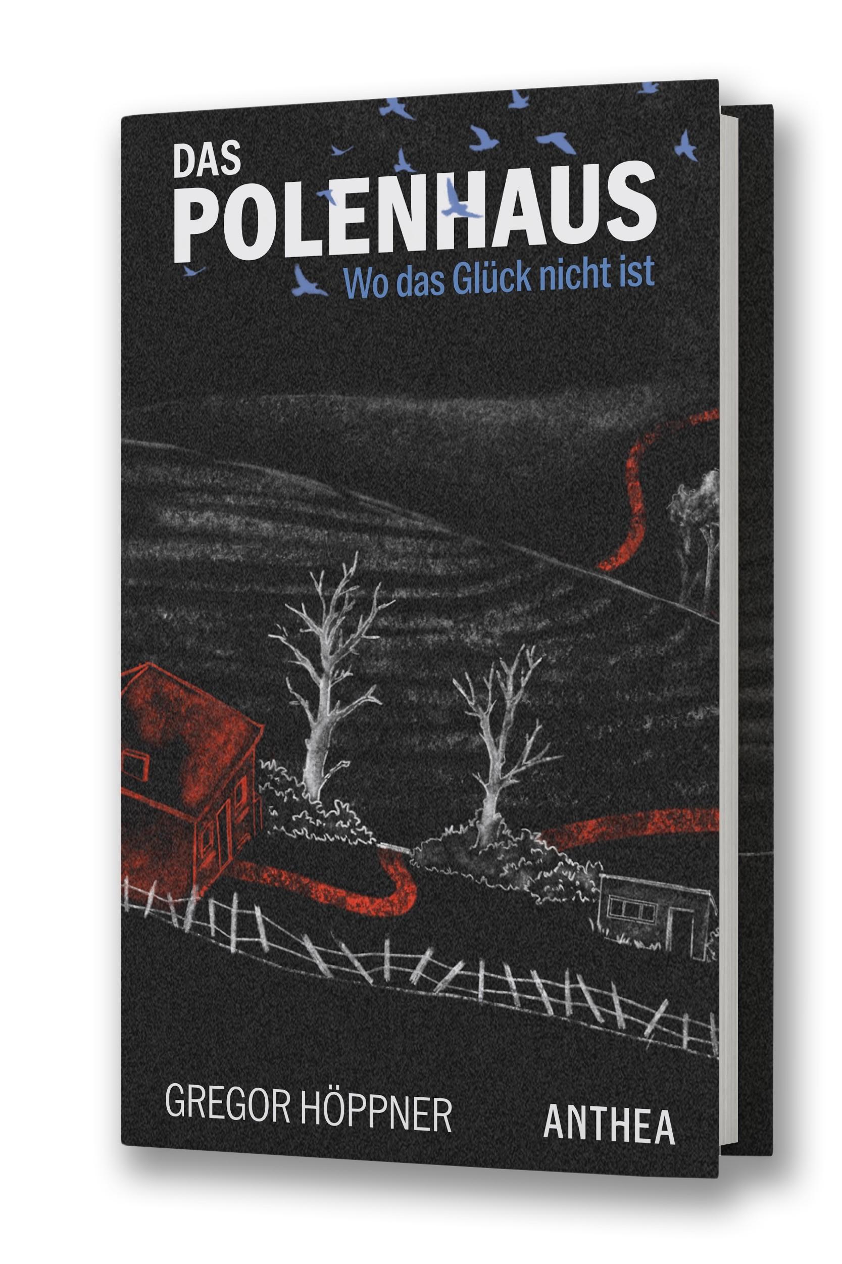 Vorderes Coverbild Das Polenhaus