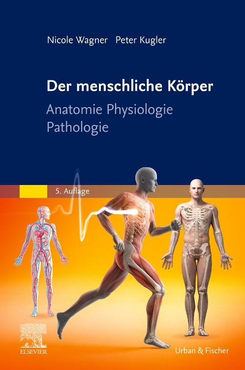 Vorderes Coverbild Der menschliche Körper