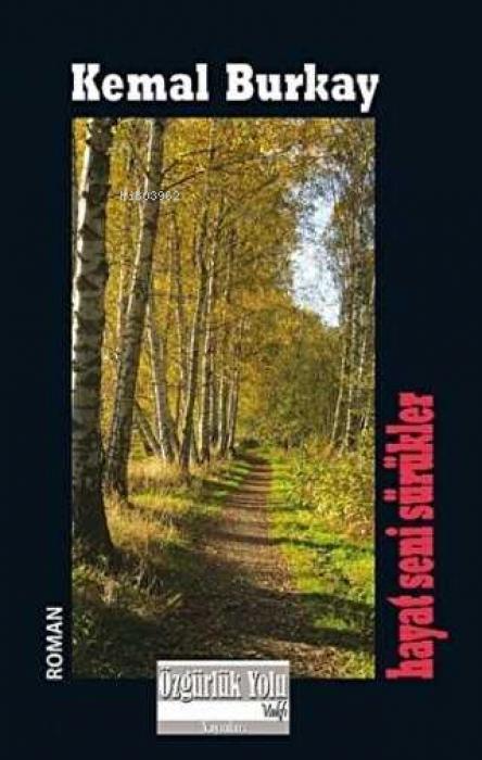 Vorderes Coverbild Hayat Seni Sürükler