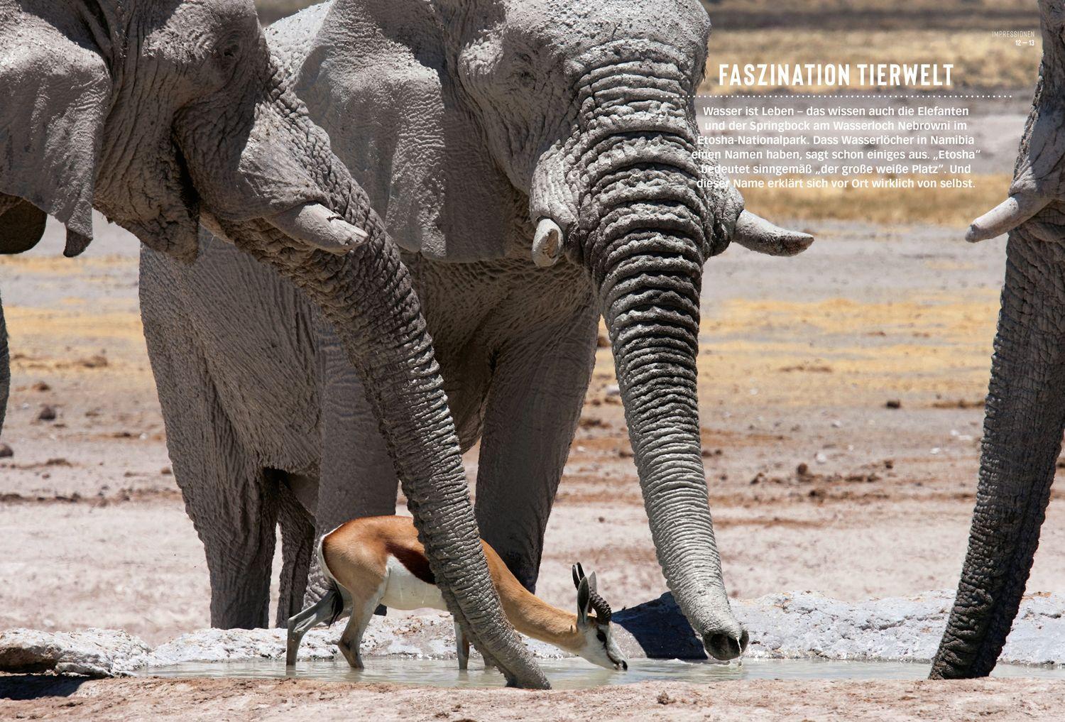 Beispielinhalt (Bild) DUMONT Bildatlas Namibia