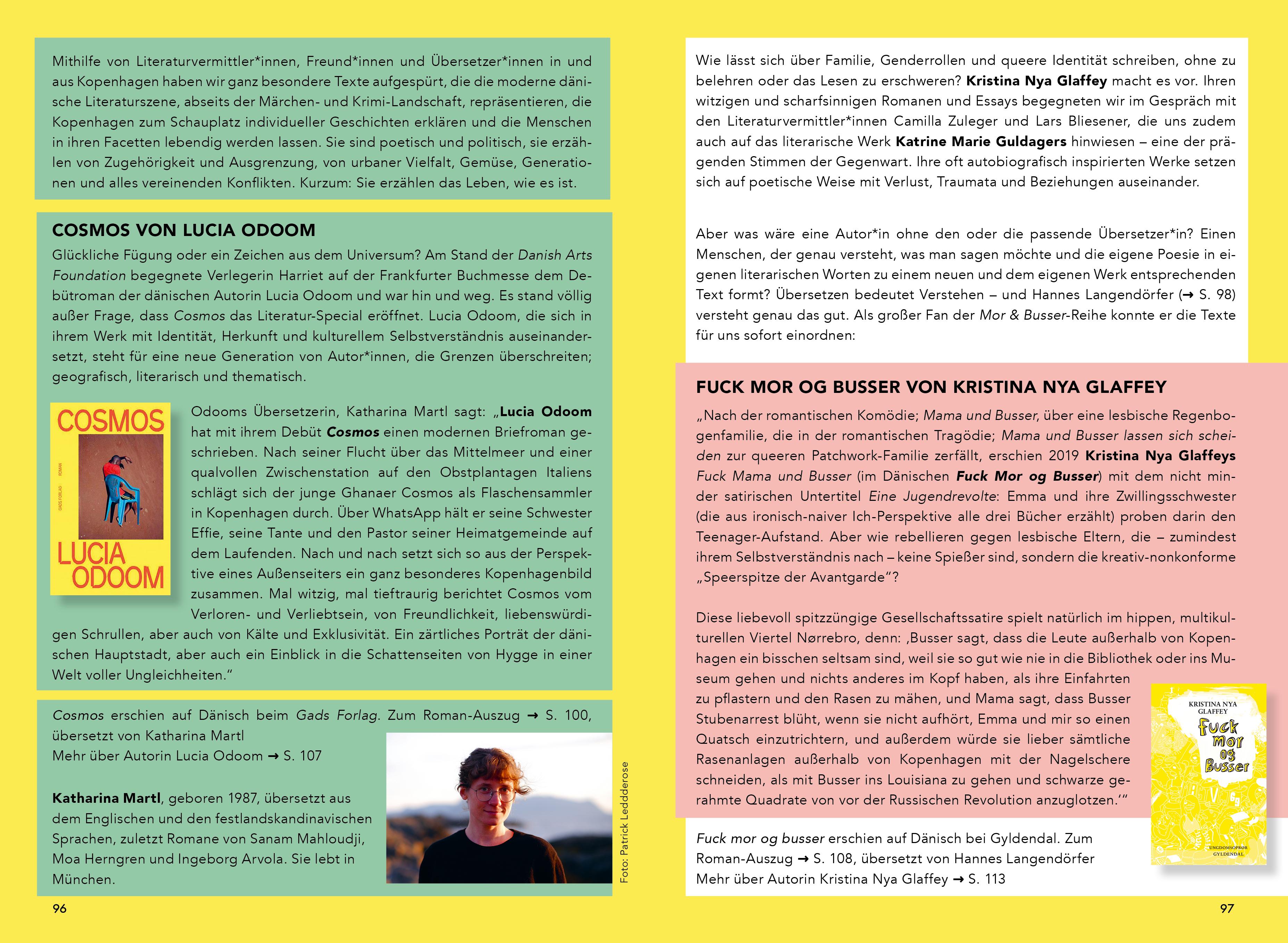 Beispielinhalt (Bild) Hallo Kopenhagen