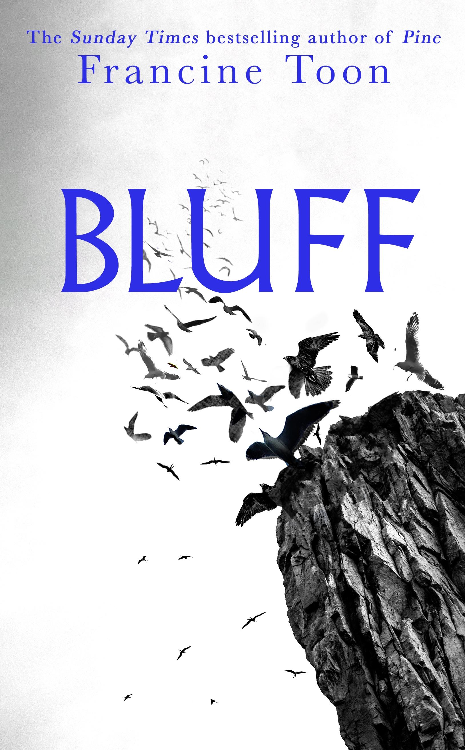 Vorderes Coverbild Bluff