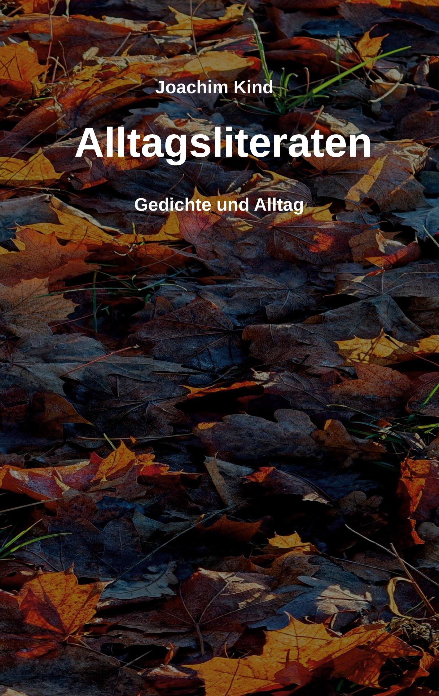 Vorderes Coverbild Alltagsliteraten