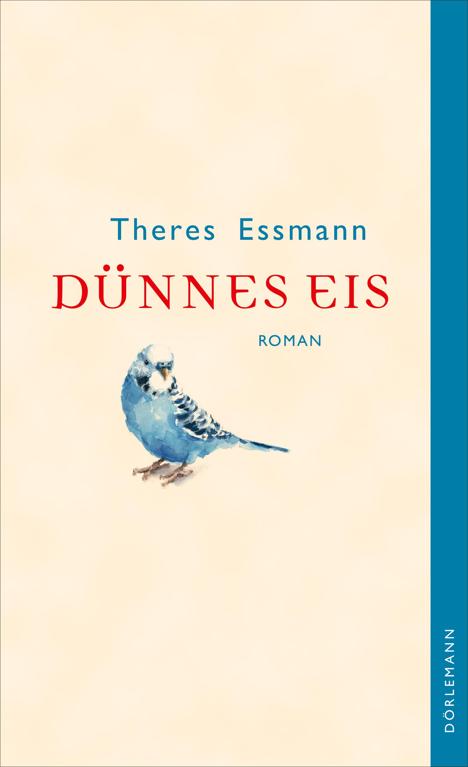 Vorderes Coverbild Dünnes Eis