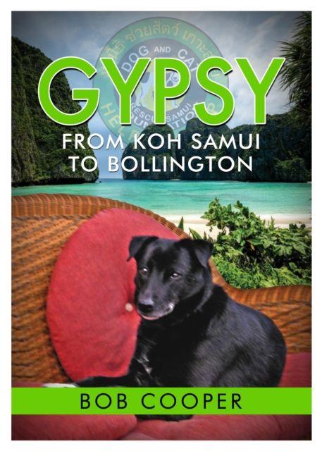 Vorderes Coverbild Gypsy - From Koh Samui to Bollington
