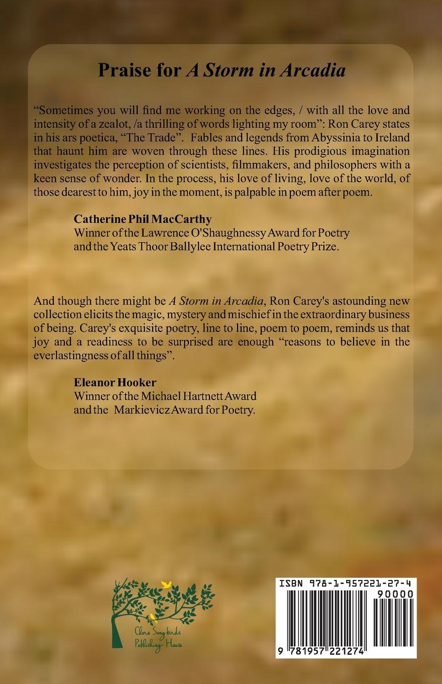 Rückseitencover A Storm in Arcadia