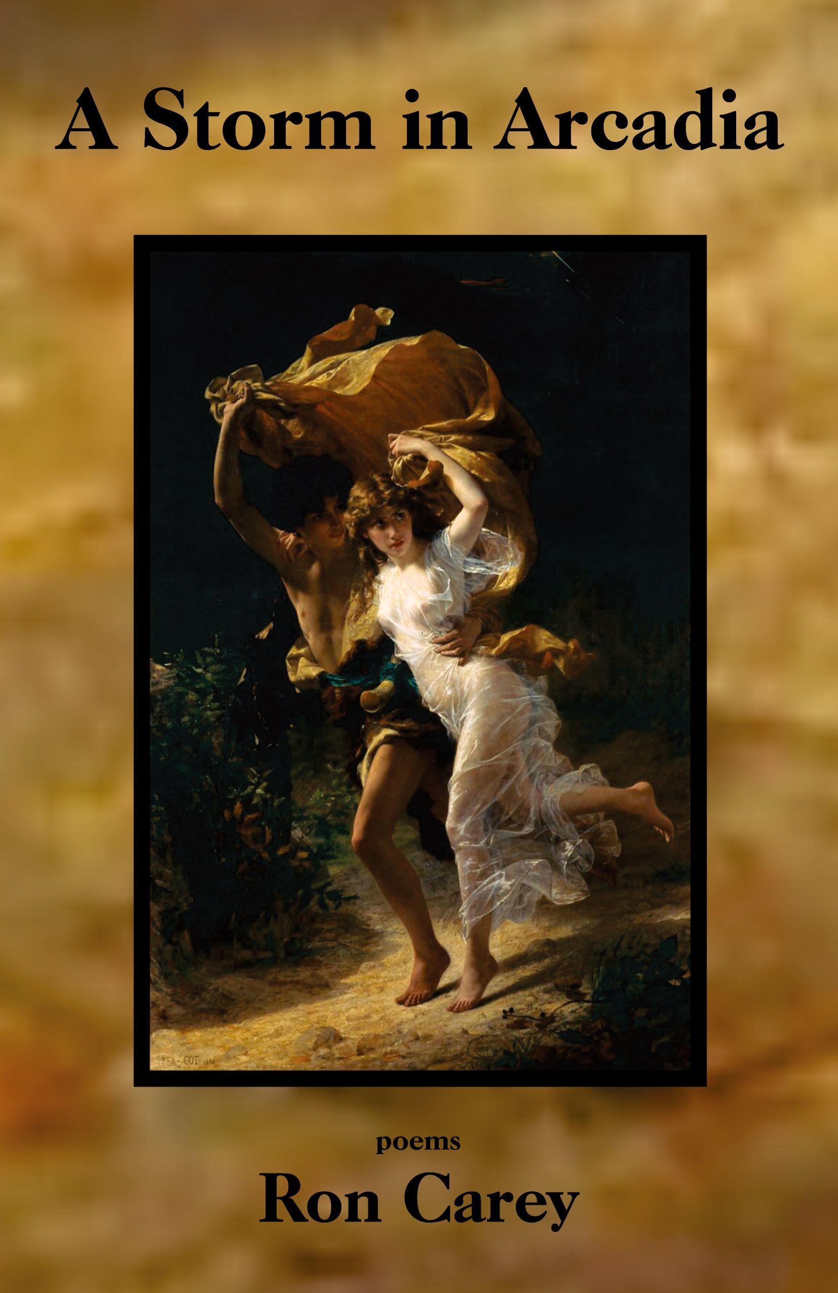 Vorderes Coverbild A Storm in Arcadia