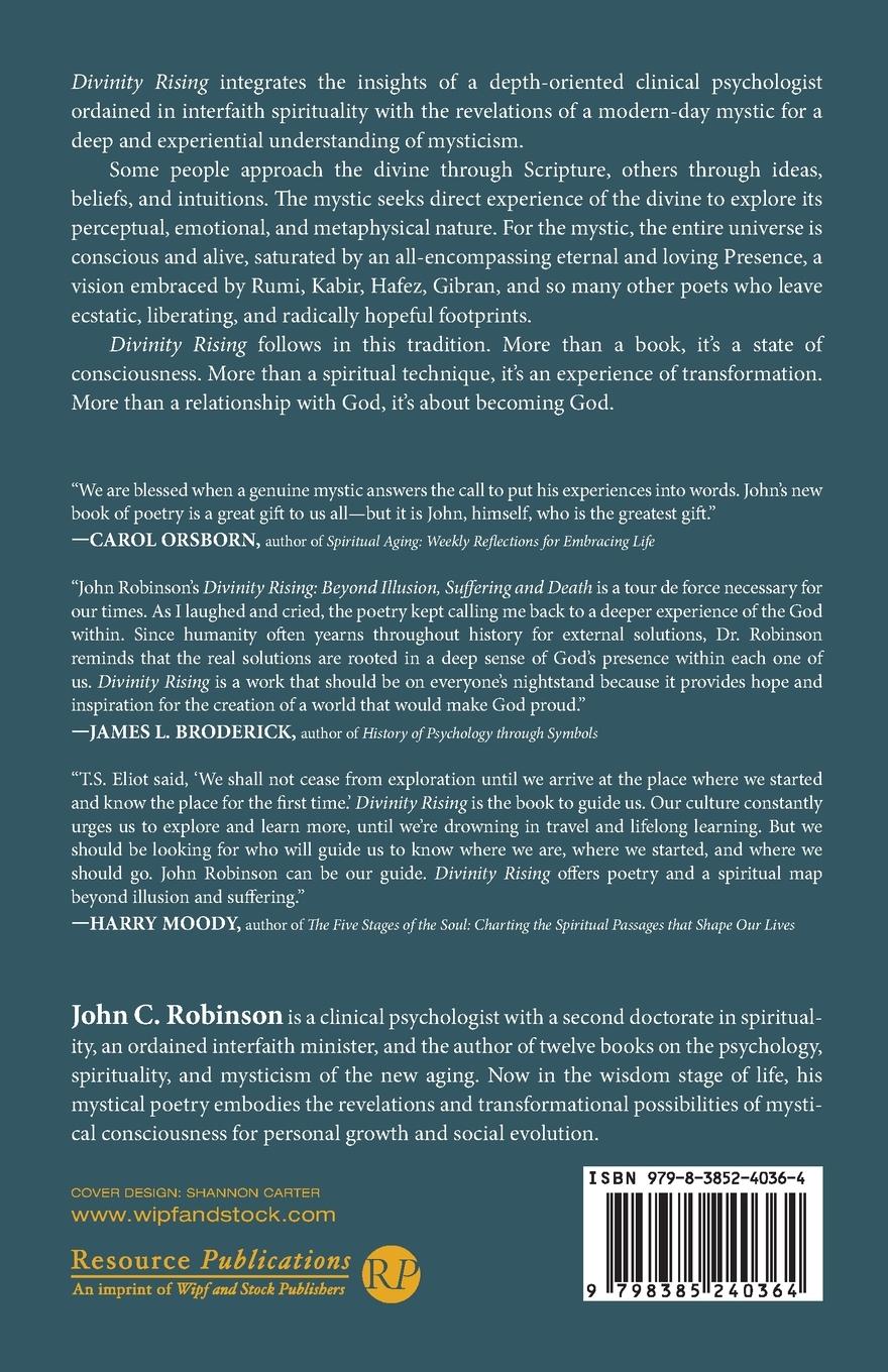 Rückseitencover Divinity Rising