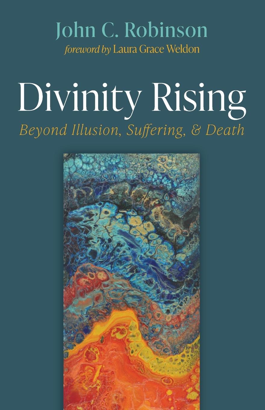 Vorderes Coverbild Divinity Rising