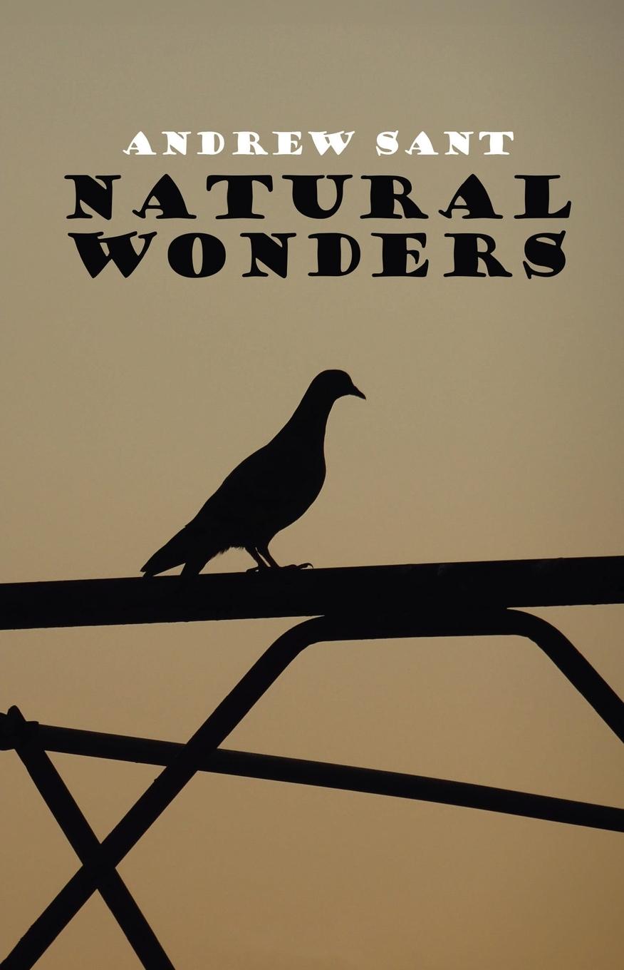 Vorderes Coverbild Natural Wonders